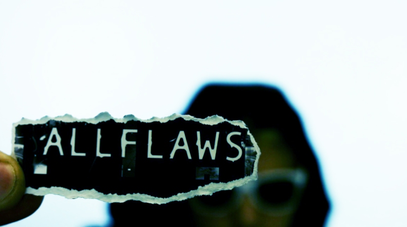 flaws flaws